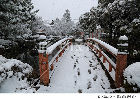 弘法大師の寺：冬の円鏡寺・84（岐阜県本巣郡北方町） 85389437