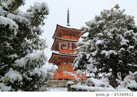 弘法大師のお寺：冬の円鏡寺・98（岐阜県本巣郡北方町） 85389811