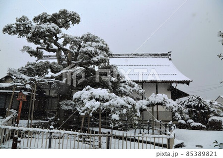 弘法大師のお寺：冬の円鏡寺・104（岐阜県本巣郡北方町） 85389821