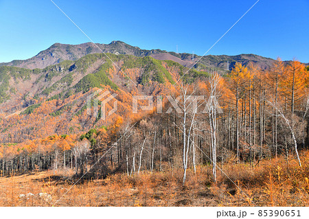 立原高原より御座山、峰雄山方面を望む(長野県南相木村)【2021.11】 立原高原より御座山、峰雄山方面を望む(長野県南相木村)【2021.11】 85390651
