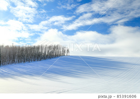 【北海道美瑛町】青空と雪原の丘に伸びる樹影 12月 【北海道美瑛町】青空と雪原の丘に伸びる樹影 12月 85391606