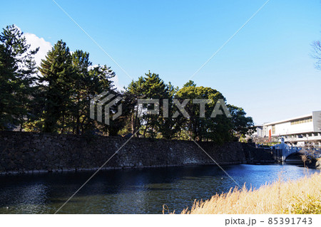 皇居の冬　 85391743
