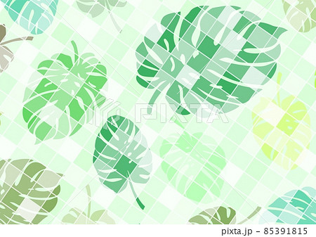 White checkered background with leaves of a plant called monstera as a base for designing your own works 85391815