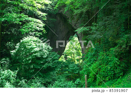 【国指定天然記念物】梅雨の晴れ間の羅生門の風景8 　岡山県新見市 85391907