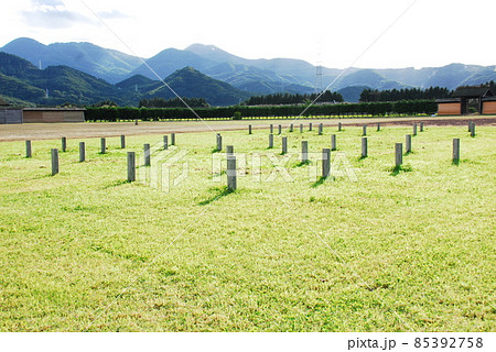 国指定史跡 志波城古代公園に復元された西門と柱で位置を示した西脇殿などの建物跡(岩手県盛岡市) 85392758