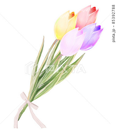 チューリップの花束 4色のイラスト素材