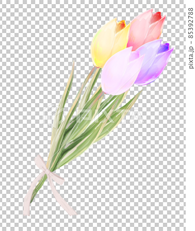 チューリップの花束 4色のイラスト素材