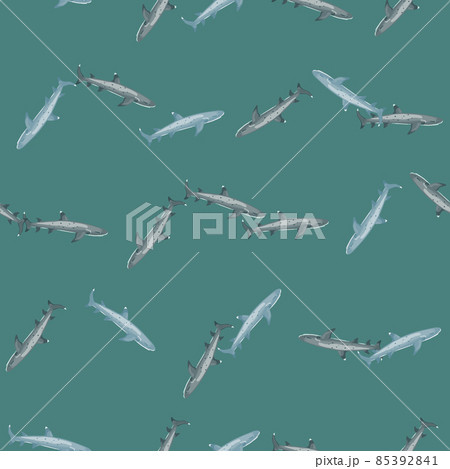 Reef shark seamless pattern in scandinavian style. Marine animals background. Vector illustration for children funny textile. 85392841