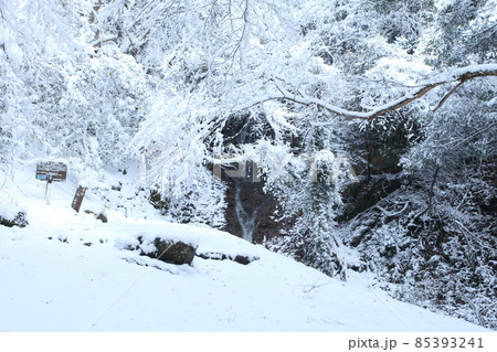雪の音無しの滝 雪の音無しの滝 85393241
