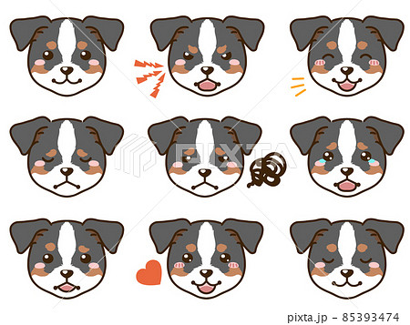 ジャックラッセルテリア トライカラー の表情顔アイコンのイラスト素材