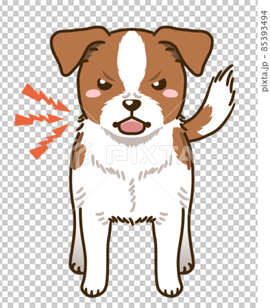 Menacing Jack Russell Terrier (White & Tan) 85393494