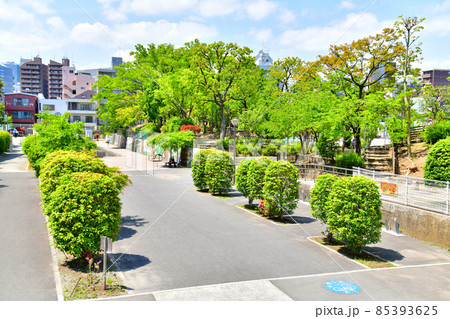 雀橋より古石場親水公園/牡丹町公園方面を望む(東京都江東区)【2021.4】 雀橋より古石場親水公園/牡丹町公園方面を望む(東京都江東区)【2021.4】 85393625