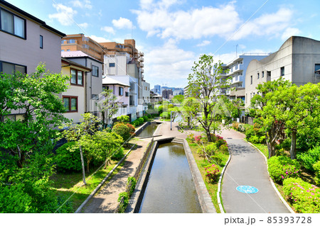 古石場親水公園を望む(東京都江東区)【2021.4】 85393728
