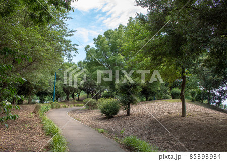 さわやかな公園の散歩道＠群馬県伊勢崎市 85393934