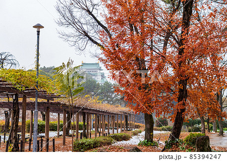 名城公園、雪の名古屋城〈愛知県名古屋市〉 85394247
