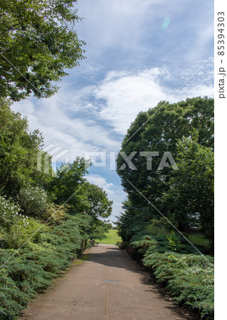 初夏のさわやかな公園＠群馬県伊勢崎市 85394303