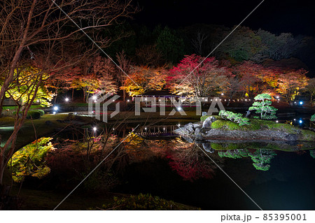 静岡県伊豆市修善寺　虹の郷　紅葉のライトアップ　リフレクション 85395001