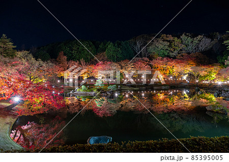 静岡県伊豆市修善寺　虹の郷　紅葉のライトアップ　リフレクション 85395005