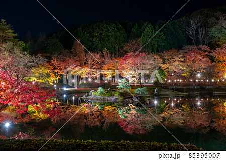 静岡県伊豆市修善寺　虹の郷　紅葉のライトアップ　リフレクション 85395007
