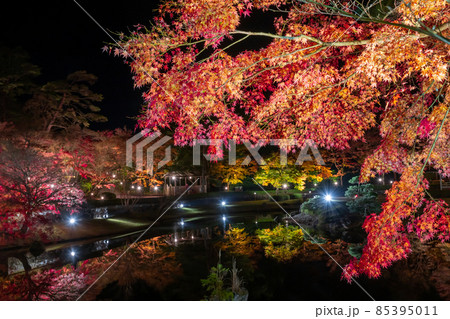 静岡県伊豆市修善寺　虹の郷　紅葉のライトアップ　リフレクション 85395011