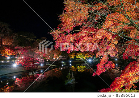 静岡県伊豆市修善寺 虹の郷 紅葉のライトアップ リフレクション 静岡県伊豆市修善寺 虹の郷 紅葉のライトアップ リフレクション 85395013
