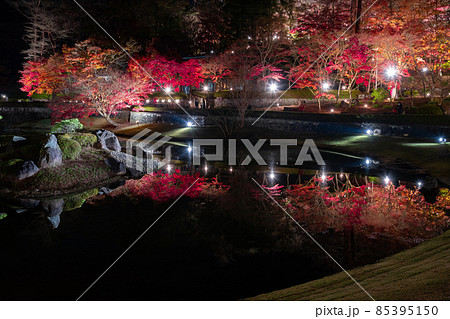 静岡県伊豆市修善寺　虹の郷　紅葉のライトアップ　リフレクション 85395150