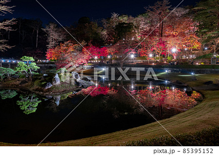 静岡県伊豆市修善寺　虹の郷　紅葉のライトアップ　リフレクション 85395152