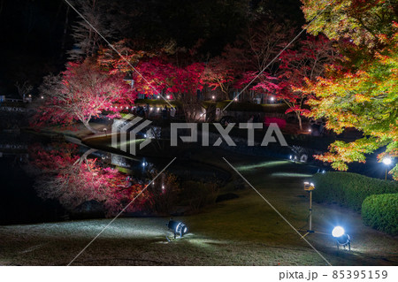 静岡県伊豆市修善寺　虹の郷　紅葉のライトアップ　リフレクション 85395159