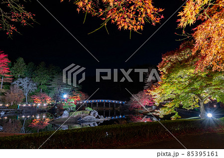 静岡県伊豆市修善寺　虹の郷　紅葉のライトアップ　リフレクション 85395161