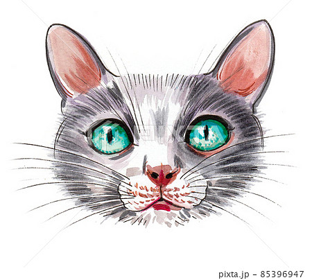 Cute cat with green eyes. Ink and watercolour drawing Cute cat with green eyes. Ink and watercolour drawing 85396947