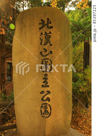 ムンスサ 85397225