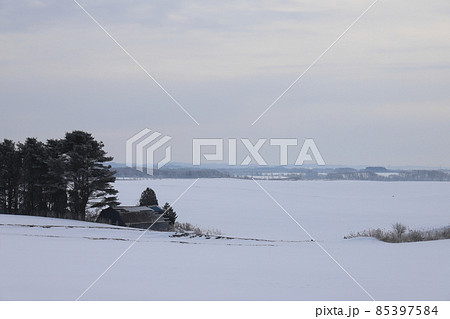 北海道 石狩地方 牧場のある風景 北海道 石狩地方 牧場のある風景 85397584