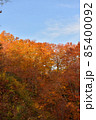 紅葉の山 85400092