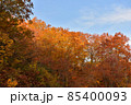 紅葉の山 85400093