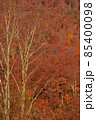 紅葉の山 85400098