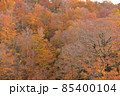 紅葉の山 85400104