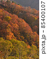 紅葉の山 85400107