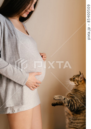 Tabby cat stands on its hind legs in front of a pregnant woman Tabby cat stands on its hind legs in front of a pregnant woman 85400509