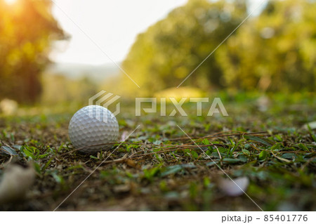 Golf ball is on a green lawn in a beautiful golf course with morning sunshine.Ready for golf in the first short.Sports that people around the world play during the holidays for health Golf ball is on a green lawn in a beautiful golf course with morning sunshine.Ready for golf in the first short.Sports that people around the world play during the holidays for health 85401776