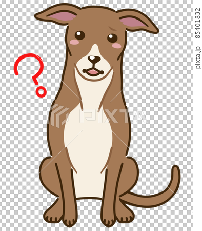 我想知道意大利靈緹犬（紅色） 85401832