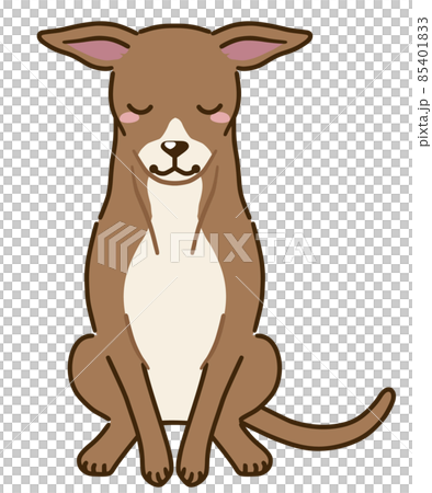 Bowing Italian Greyhound (Red) Bowing Italian Greyhound (Red) 85401833