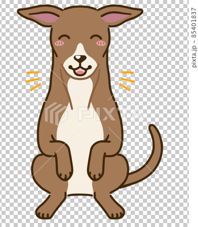 Rejoice Italian Greyhound (red) Rejoice Italian Greyhound (red) 85401837