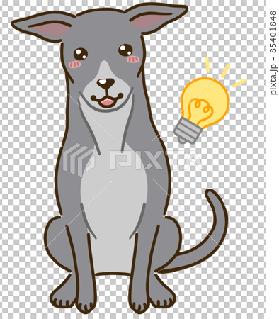 I can think of Italian Greyhound (gray) I can think of Italian Greyhound (gray) 85401848