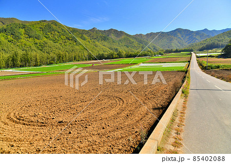 毛木平 甲武信ヶ岳登山口方面を望む(長野県川上村)【2021.10】 毛木平 甲武信ヶ岳登山口方面を望む(長野県川上村)【2021.10】 85402088