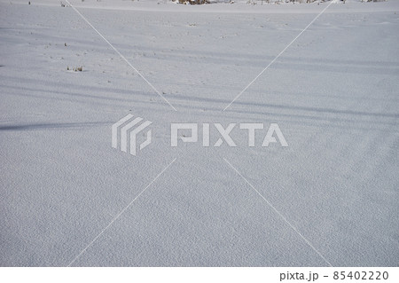 雪の積もった年末年始の田んぼの様子 雪の積もった年末年始の田んぼの様子 85402220