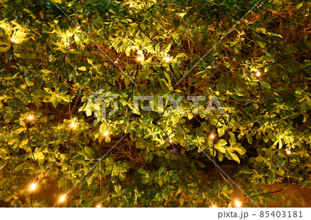 クリスマス xマス ｘマス 85403181