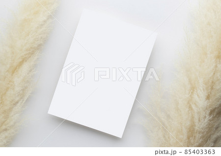 White invitation card mockup with a pampas grass on grey background, Minimal grey workplace composition, flat lay, mockup White invitation card mockup with a pampas grass on grey background, Minimal grey workplace composition, flat lay, mockup 85403363