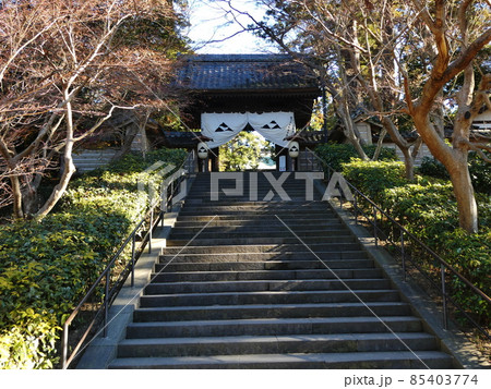 円覚寺　Engakuji temple 85403774