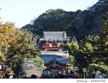 鶴岡八幡宮　Tsurugaoka-hachimangu shrine 85403780