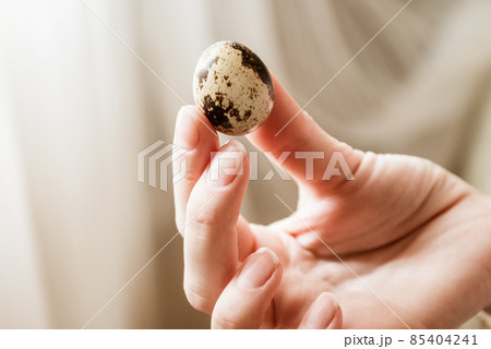 Woman holds small spotted egg in her hand, close up Woman holds small spotted egg in her hand, close up 85404241